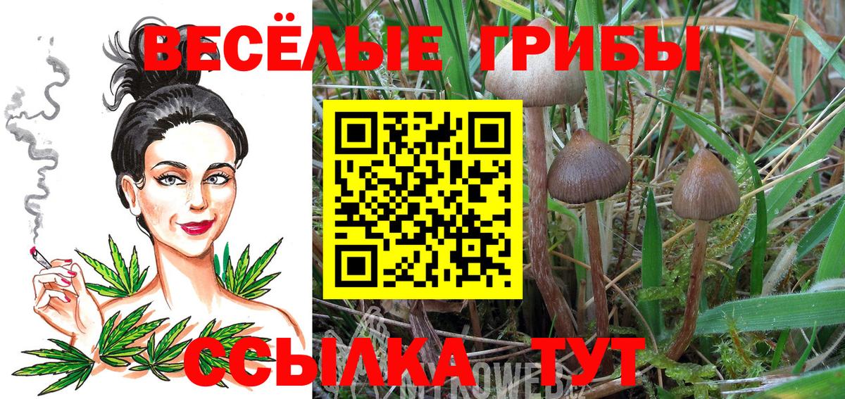 Псилоцибиновые грибы MAGIC MUSHROOMS  Галлюциногенные грибы мухоморы  Вход с VPN  Копейск 
